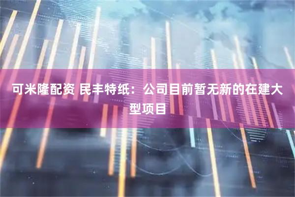 可米隆配资 民丰特纸：公司目前暂无新的在建大型项目